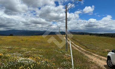 Sitio en Venta en Angol - Villa Trinte