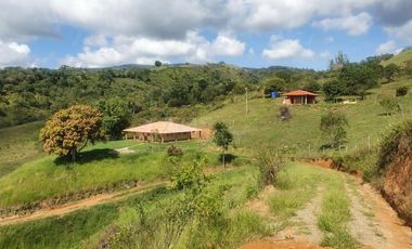 finca en venta en vereda la laguna. Cod V1504