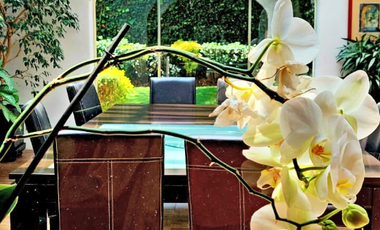 Casa en venta y renta en Lomas de Chapultepec con 985m2 de terreno