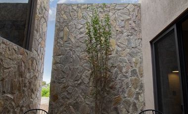 IZMIR San Miguel de Allende