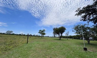 finca en venta en vereda brisas de upín. Cod V9763748