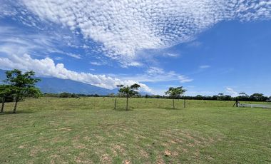 finca en venta en vereda brisas de upín. Cod V9763748