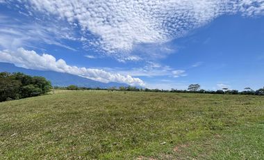 finca en venta en vereda brisas de upín. Cod V9763748