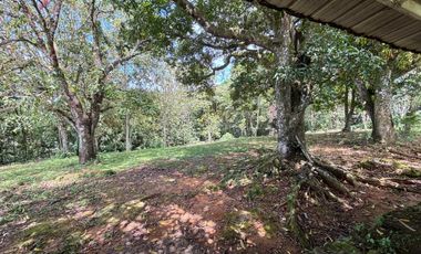 finca en venta en vereda brisas de upín. Cod V9763748