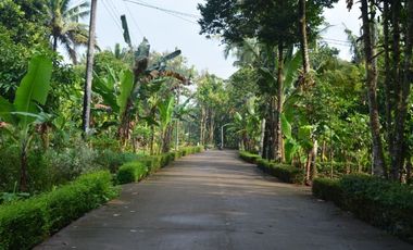 Tanah Dekat Pantai Jetis SHM Jalan Lintas Selatan