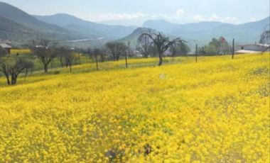 Sitio en Venta en Fundo la Estrella