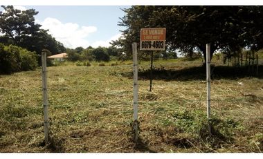 VENTA TERRENO NUEVA GORGONA
