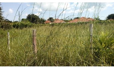 VENTA TERRENO NUEVA GORGONA