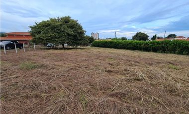 VENTA TERRENO NUEVA GORGONA