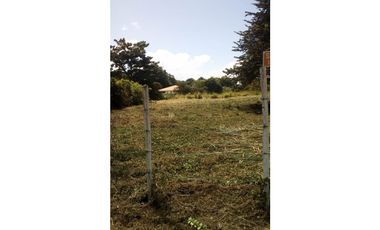 VENTA TERRENO NUEVA GORGONA