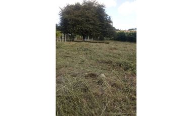 VENTA TERRENO NUEVA GORGONA