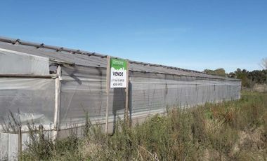 Campo en venta en Florencio Varela Oeste
