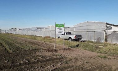 Campo en venta en Florencio Varela Oeste