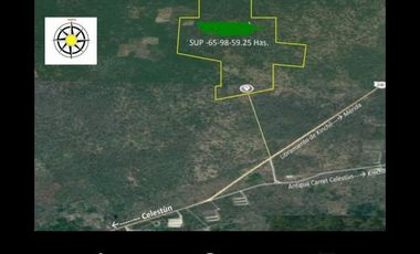 Terreno en venta en Kinchil, Kinchil