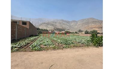 🚀 Venta De Terreno En Chocas Alto – Gran Oportunidad De Inversión 🌱
