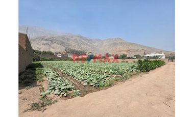 🚀 Venta De Terreno En Chocas Alto – Gran Oportunidad De Inversión 🌱