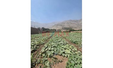 🚀 Venta De Terreno En Chocas Alto – Gran Oportunidad De Inversión 🌱