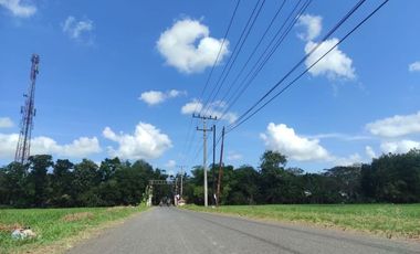 Penting Sertipikat SHM: Tanah Kavling Dijual Bayan, 80 Jt-an