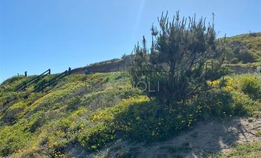 Sitio en Venta en Valle la Launa, La Vega de Pupuya