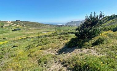 Sitio en Venta en Valle la Launa, La Vega de Pupuya