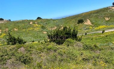 Sitio en Venta en Valle la Launa, La Vega de Pupuya