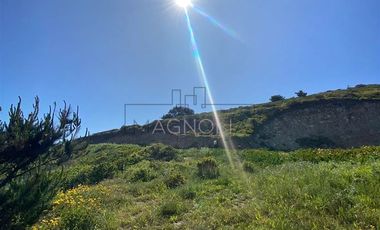 Sitio en Venta en Valle la Launa, La Vega de Pupuya