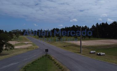 Terreno en Parque Industrial Ecológico de la Cruz - 2000 m2 - Venta