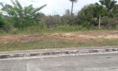 Overlooking 204 Sqm Lot for Sale nearest Talamban Cebu City with Mountain View