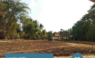 Kapling Murah 800 Rb-an/meter: Jl.Pengasih-Nanggulan Cicil 12X