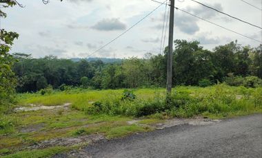 Kapling Murah 800 Rb-an/meter: Jl.Pengasih-Nanggulan Cicil 12X