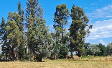 Sitio en Venta en km 1 Camino Antuco