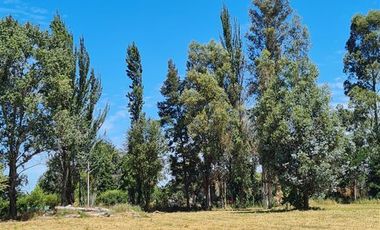 Sitio en Venta en km 1 Camino Antuco