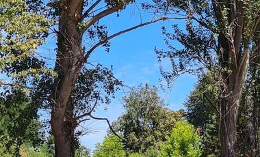 Sitio en Venta en km 1 Camino Antuco