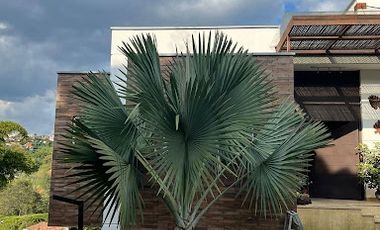 VENTA de CASAS en SABANETA