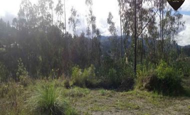 Terreno de venta en Ricaurte - La Playa – código:16151