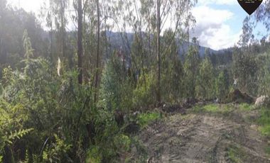 Terreno de venta en Ricaurte - La Playa – código:16151