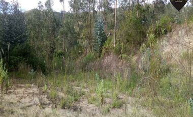 Terreno de venta en Ricaurte - La Playa – código:16151