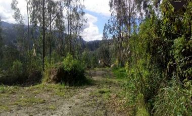 Terreno de venta en Ricaurte - La Playa – código:16151