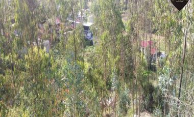 Terreno de venta en Ricaurte - La Playa – código:16151