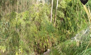 Terreno de venta en Ricaurte - La Playa – código:16151