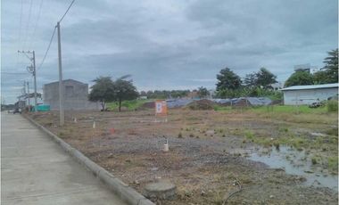 SE VENDEN LOSTES EN EL BARRIO GUADALUPE MONTERIA