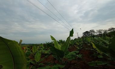 Jual tanah kebun pisang pinggir jalan desa dekat wisata taman batu Bojong Purwakarta Jawa Barat
