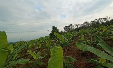 Jual tanah kebun pisang pinggir jalan desa dekat wisata taman batu Bojong Purwakarta Jawa Barat