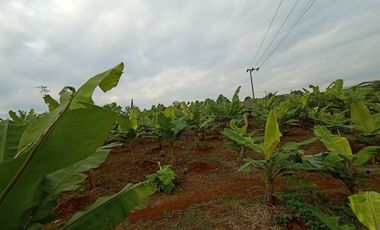 Jual tanah kebun pisang pinggir jalan desa dekat wisata taman batu Bojong Purwakarta Jawa Barat