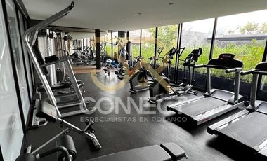 Departamento PH en Venta en Polanco 3R/3.5B/3E - Terraza - Roof Garden - 565m2