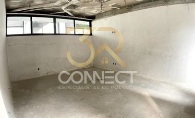 Departamento PH en Venta en Polanco 3R/3.5B/3E - Terraza - Roof Garden - 565m2