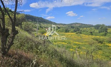 Terreno Construccion  en Venta en Parcelación Buena Vista