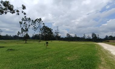 Venta de Lote en el sector de la Mesa de Los Santos, área 1250 mt. Cod V18696