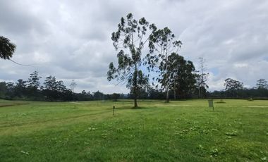 Venta de Lote en el sector de la Mesa de Los Santos, área 1250 mt. Cod V18696