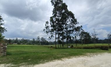 Venta de Lote en el sector de la Mesa de Los Santos, área 1250 mt. Cod V18696